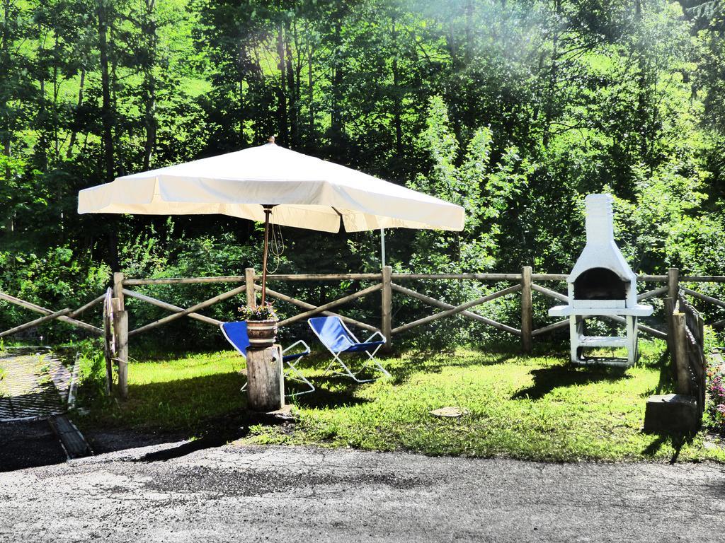 Bosco Val di Zoldo